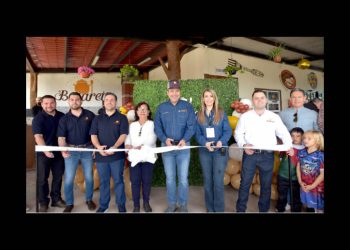 Hermosillo reporta reducción del 44% en trámites nunicipales y aportación del 20% en empleo nacional