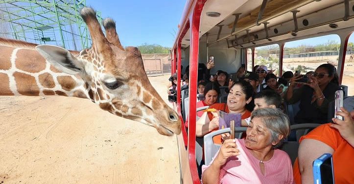 Gobierno de Sonora registra alta afluencia en el Centro Ecológico durante Semana Santa