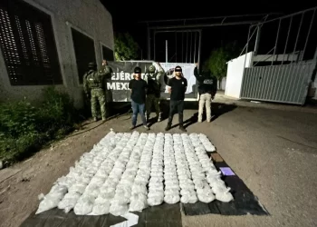 Defensa asegura 130 kilogramos de metanfetamina en Navojoa