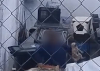 Detienen a médica veterinaria del Centro de Bienestar Animal de Nogales; la acusan de maltratar a un perro