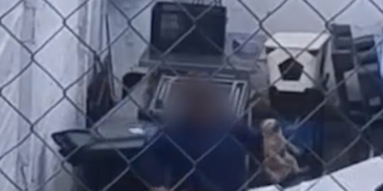 Detienen a médica veterinaria del Centro de Bienestar Animal de Nogales; la acusan de maltratar a un perro