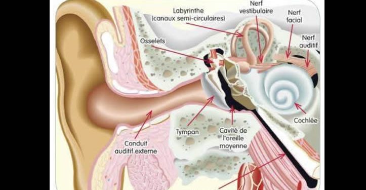 ¿Qué es el Test de Escucha Tomatis?