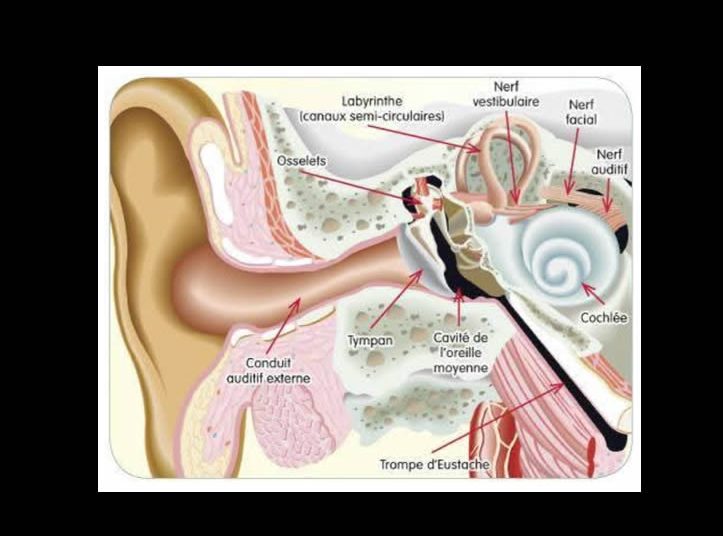 ¿Qué es el Test de Escucha Tomatis?