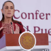 Sheinbaum acusa que comité de la ONU busca criticar al gobierno de México; rechaza crímenes de lesa humanidad