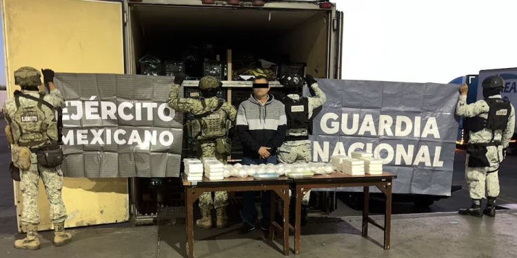 Aseguran cargamento de cocaína, cristal y goma de opio oculto en tráiler con verdura en Sonora