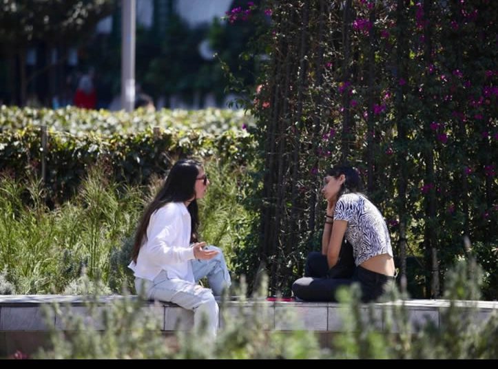 Jóvenes en México, más estudios, sin hijos y mayor permanencia en el hogar: Inegi