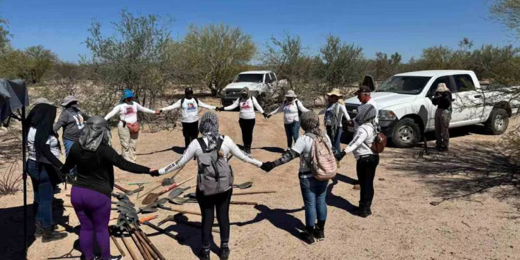 Asciende a 53 la cifra de osamentas halladas en fosas clandestinas en Guaymas, colectivos intensifican búsqueda en Sonora