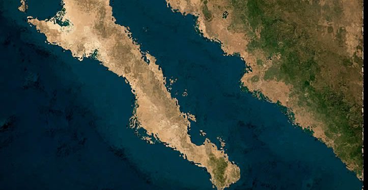 Proyecto Saguaro es ‘imperialismo ecológico’ en el Golfo de California: Mittermeier