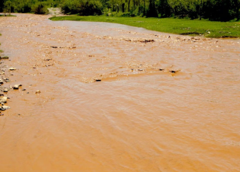 Comités de Cuenca Río Sonora denuncian opacidad en acuerdos con Grupo México tras derrame tóxico