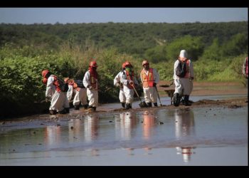 Grupo México pide permisos mineros a cambio de remediar el río Sonora