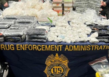 EU reconoce colaboración con México en el desmantelamiento de cárteles