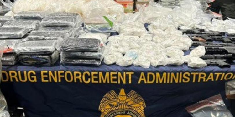 EU reconoce colaboración con México en el desmantelamiento de cárteles