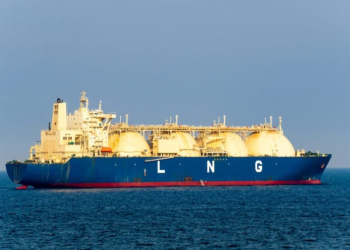 Frenan buques de Saguaro GNL en Golfo de California; juez protege a ballenas con suspensión definitiva