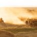 Los bisontes han pastoreado estas tierras durante siglos. Trump quiere desalojarlos