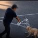 Detienen a hombre por quemar a perrita con agua hirviendo en Sonora