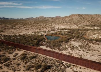 Segundo muro en frontera Arizona-Sonora, sentencia de muerte para vida silvestre y sitios sagrados