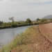 Adolescente de 13 Años Muere Ahogado en el Canal Bajo en Cajeme
