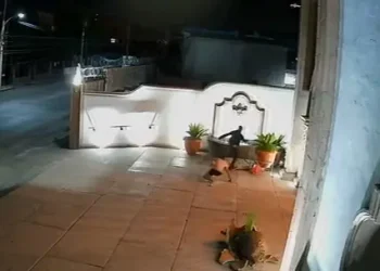 Captan a Dos Hombres Vandalizando la Catedral de Nogales, Sonora