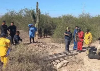 Policía Pidió Croquetas en Lugar de Flores en su Funeral Para Alimentar a Perros en Abandono