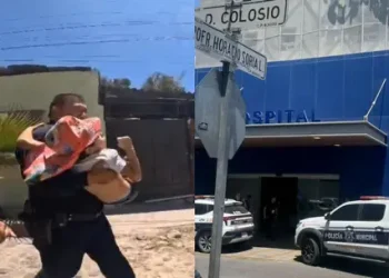 Menor de 7 Años es Mordida por Araña Viuda Negra en el Centro de Hermosillo