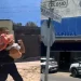 Menor de 7 Años es Mordida por Araña Viuda Negra en el Centro de Hermosillo