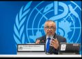 La OMS confirma que cinco de los ocho casos sopechosos del barco han dado positivo en hantavirus