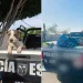 Policía Pidió Croquetas en Lugar de Flores en su Funeral Para Alimentar a Perros en Abandono