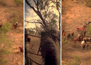 Capturan a mexicano ligado al Cártel de Sinaloa; 12 inmigrantes ilegales más son arrestados en Sonora
