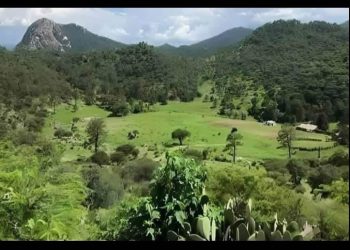 Familia denuncia a la minera Alamos Gold de presunto despojo de predio tras litigio de dos décadas en Sahuaripa