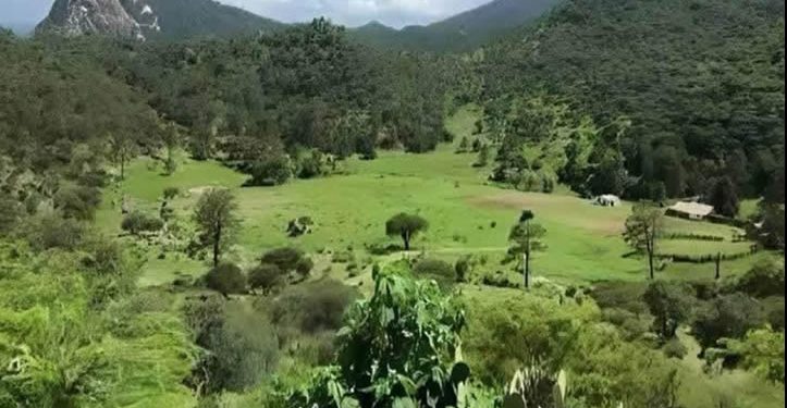 Familia denuncia a la minera Alamos Gold de presunto despojo de predio tras litigio de dos décadas en Sahuaripa