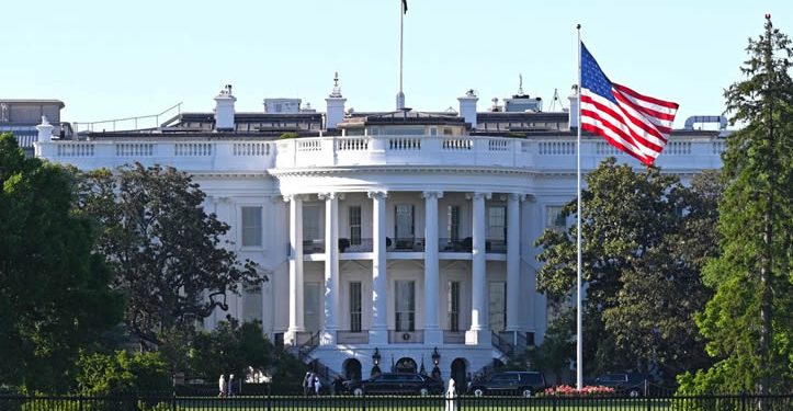 NYT: pide Casa Blanca a sus fiscales aplicar ley contra narcoterrorismo a políticos mexicanos