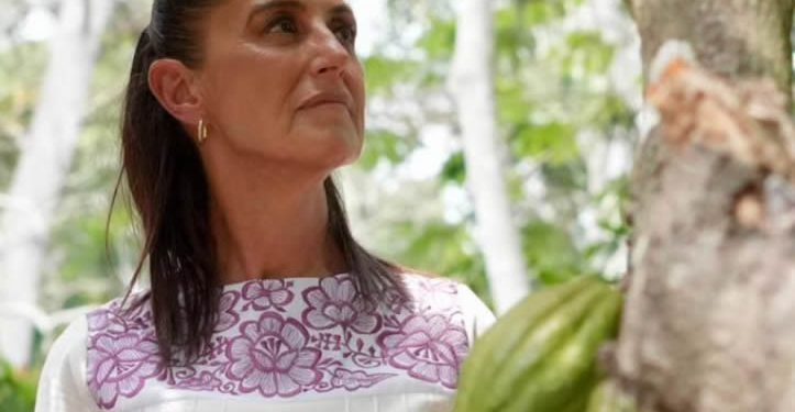Claudia Sheinbaum dará un informe extraordinario por su victoria hace 2 años