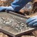 Cicatrices en el desierto: Madres buscadoras hallan crematorios clandestinos en Sonora