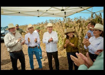 Gobierno de Sonora y Sader impulsan reconversión agrícola de 32 mil hectáreas ante la sequía