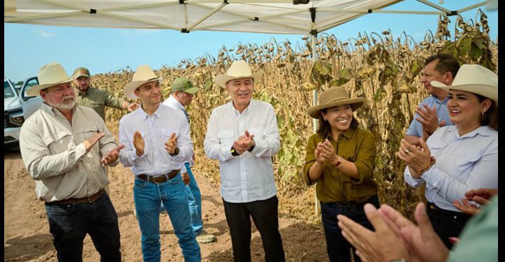 Gobierno de Sonora y Sader impulsan reconversión agrícola de 32 mil hectáreas ante la sequía