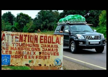 Nueva epidemia de ébola: ¿por qué ha declarado la OMS una emergencia internacional?