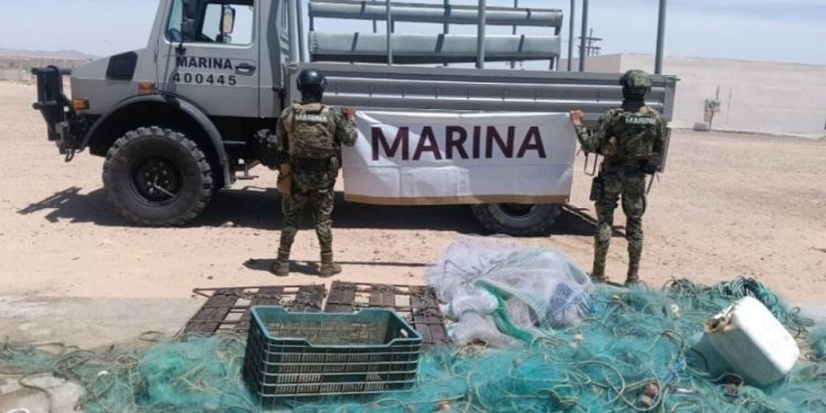Semar asegura herramientas de pesca prohibidas en Sonora