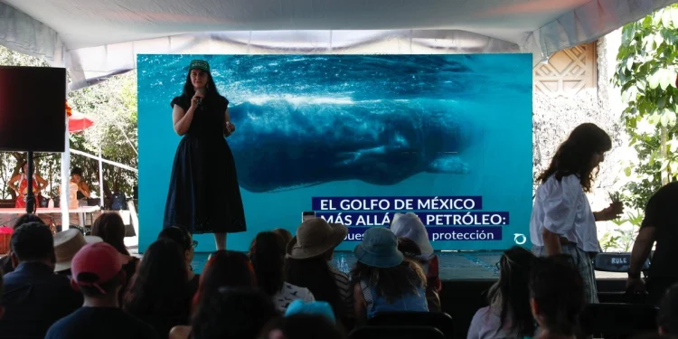 Golfo de California en riesgo: exigen a Semarnat declararlo “hábitat crítico” ante proyectos de gas