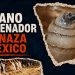 La emergencia del gusano barrenador en México; comercio paralizado, pérdidas millonarias y transmisión a humanos