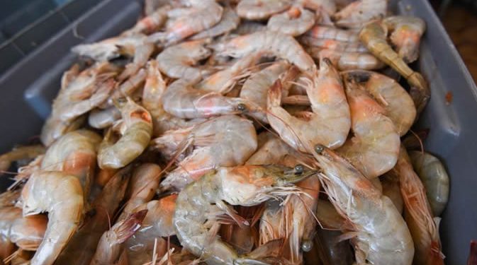 Huachicamarón ecuatoriano tiene al borde de la quiebra a productores mexicanos