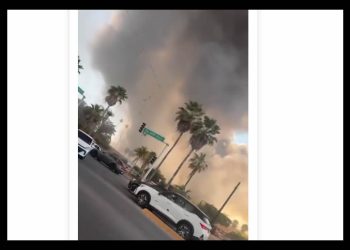 Autoridades confirman cinco muertos tras el incendio en la plaza Fiesta Las Palmas en Los Mochis, Sinaloa