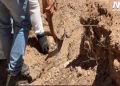 El Estado los olvida, sus madres los desentierran: Fosas clandestinas en Sonora