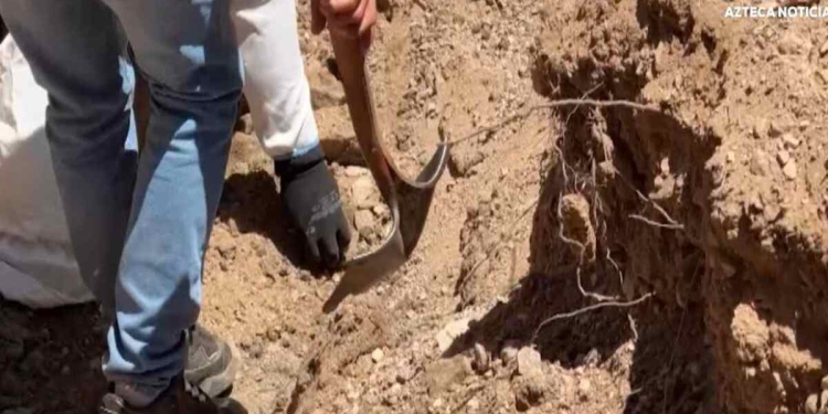 El Estado los olvida, sus madres los desentierran: Fosas clandestinas en Sonora