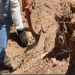El Estado los olvida, sus madres los desentierran: Fosas clandestinas en Sonora