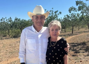 Nacen Primeras Crías de Bisonte Americano Reintroducido en Sonora