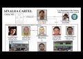 EU sanciona a 11 personas y la empresa Mamba Negra por vínculos con el Cártel de Sinaloa