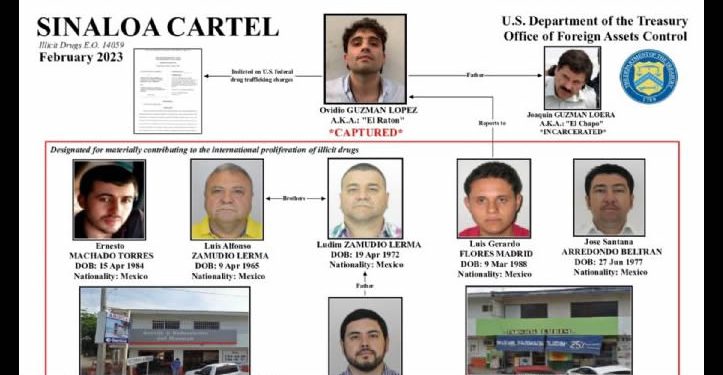 EU sanciona a 11 personas y la empresa Mamba Negra por vínculos con el Cártel de Sinaloa