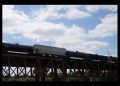 SRE confirma muerte de tres mexicanos en tren de Laredo, Texas