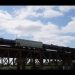 SRE confirma muerte de tres mexicanos en tren de Laredo, Texas