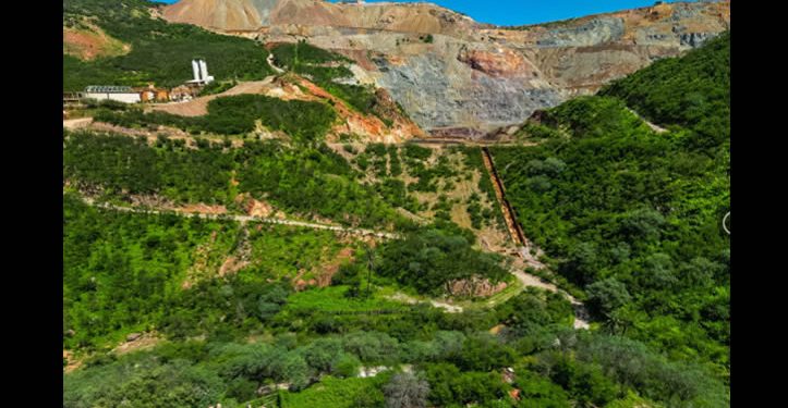 Tensión en Mulatos: El alto costo social y ambiental del oro de Alamos Gold